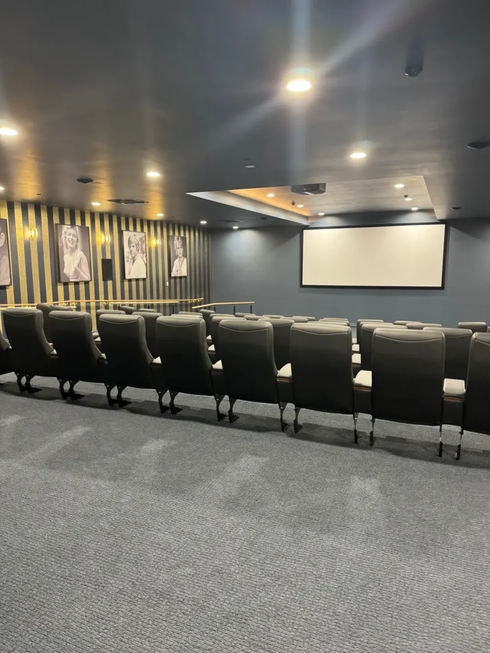 Retirement home Theatre